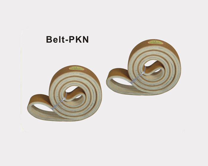 Belt-PKN